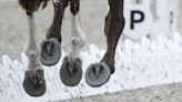 Horse racing leaders consider Paris Olympics equestrian scandal a lesson for for their sport