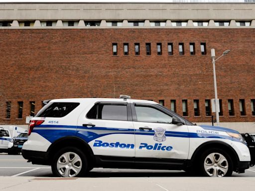 3 dead dogs found in U-Haul van in Mattapan, Boston Police seeks suspects