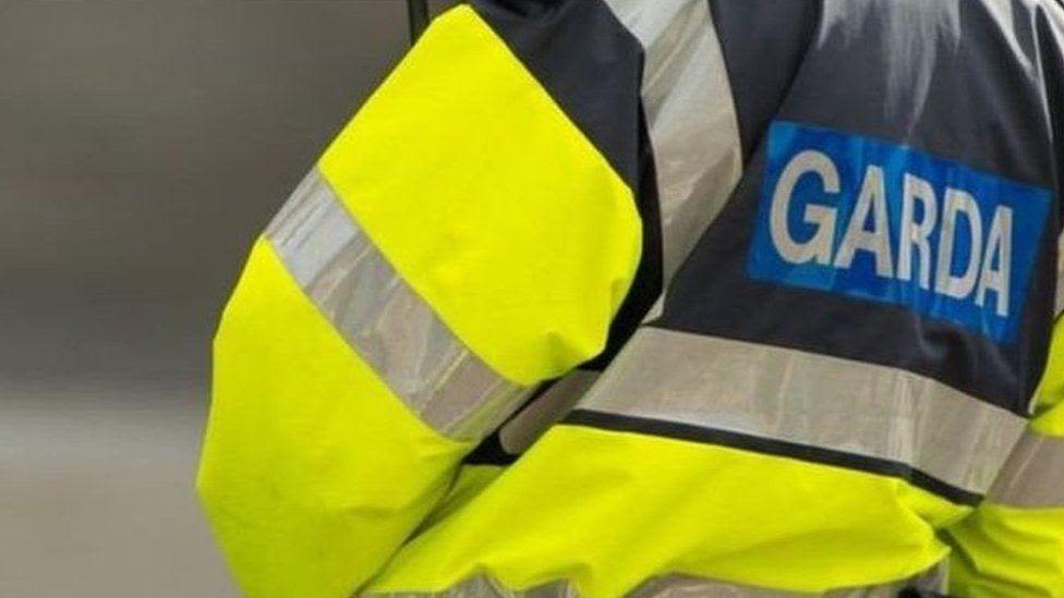 'Significant' seizure of guns and ammunition in Louth