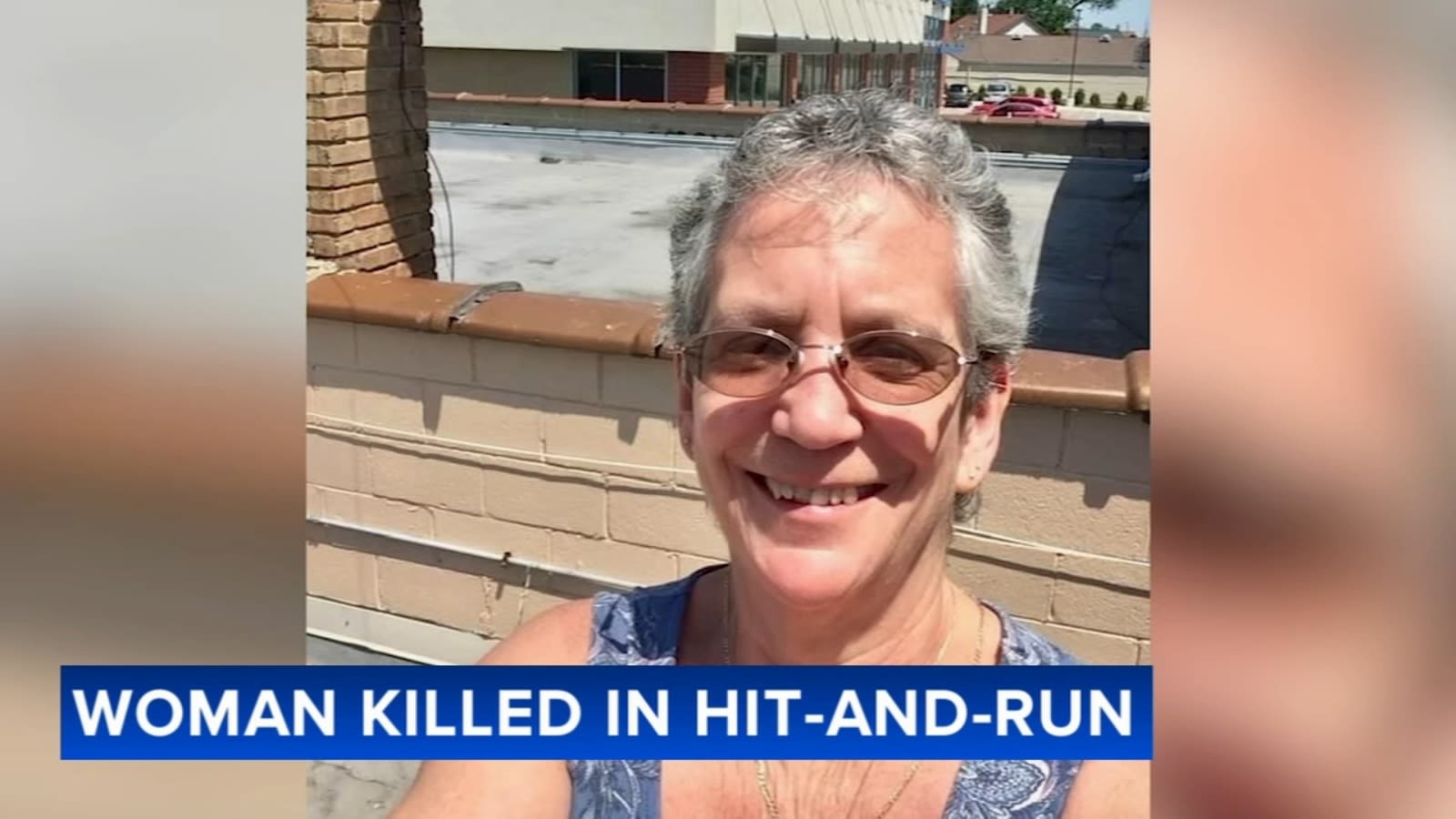 Downers Grove hit-and-run kills woman, 65, ID'd by family as Robin Robinson