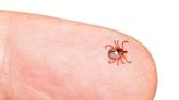 Thousands of people are now allergic to meat because of tick bites. An expert says 'this is just the tip of the iceberg.'