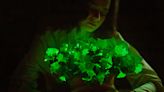 You Can Now Buy Gene-Hacked Houseplants That Glow in the Dark