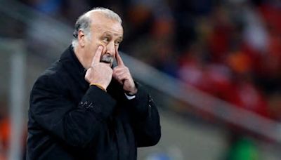 El Gobierno elige a Vicente del Bosque para "tutelar" la Federación Española de Fútbol