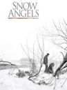 Snow Angels (film)