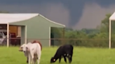 Tornado touched down during North Texas storms, delayed report confirms