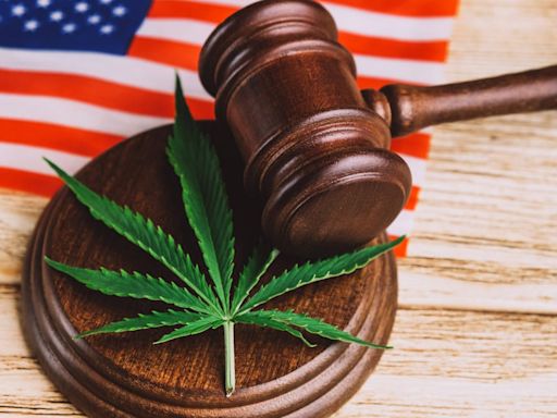 Which States Have Legalized Marijuana for Recreational or Medical Use?