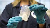 Fentanyl overdose death report finds risk for Hispanic residents is growing