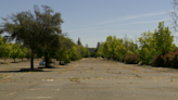 Sacramento businesses hope to benefit from development project planned for former Arco Arena site