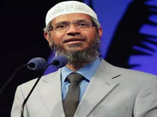 'Disappointing And Condemnable But...': India On Pakistan's Warm Welcome To Zakir Naik