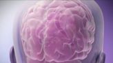 Learn how to prevent brain injuries during Alzheimer’s and Brain Injury Awareness Month