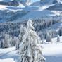 Berge Im Schnee