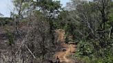 Exclusive-Operations to destroy illegal roads in Colombia’s Amazon hit standstill, sources say