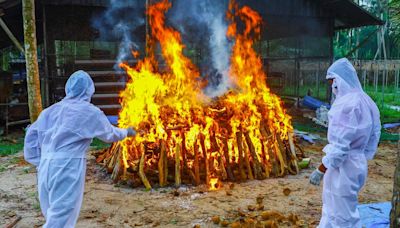 Central Travancore, a sitting duck to avian flu