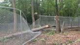 Storm damages brand-new dog park at Kent County Animal Shelter