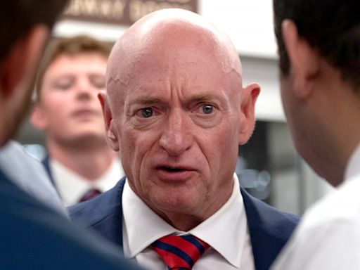 Mark Kelly would break tradition of VP as attack dog