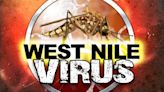 First Human Case of West Nile Virus in 2024 - WXXV News 25