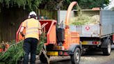 Man Fed Into Woodchipper in Alleged $500K Life Insurance Scheme, Court Hears