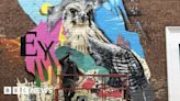 York peregrine falcon mural unveiled to celebrate city's heritage