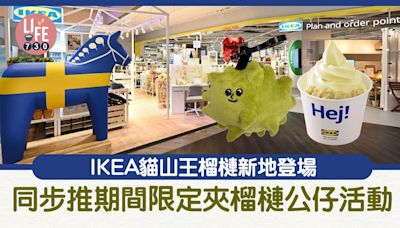 IKEA貓山王榴槤新地登場 同步推期間限定夾榴槤公仔活動 | am730