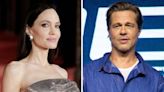 Angelina Jolie Claims Brad Pitt 'Choked' and 'Struck' Kids on 2016 Flight