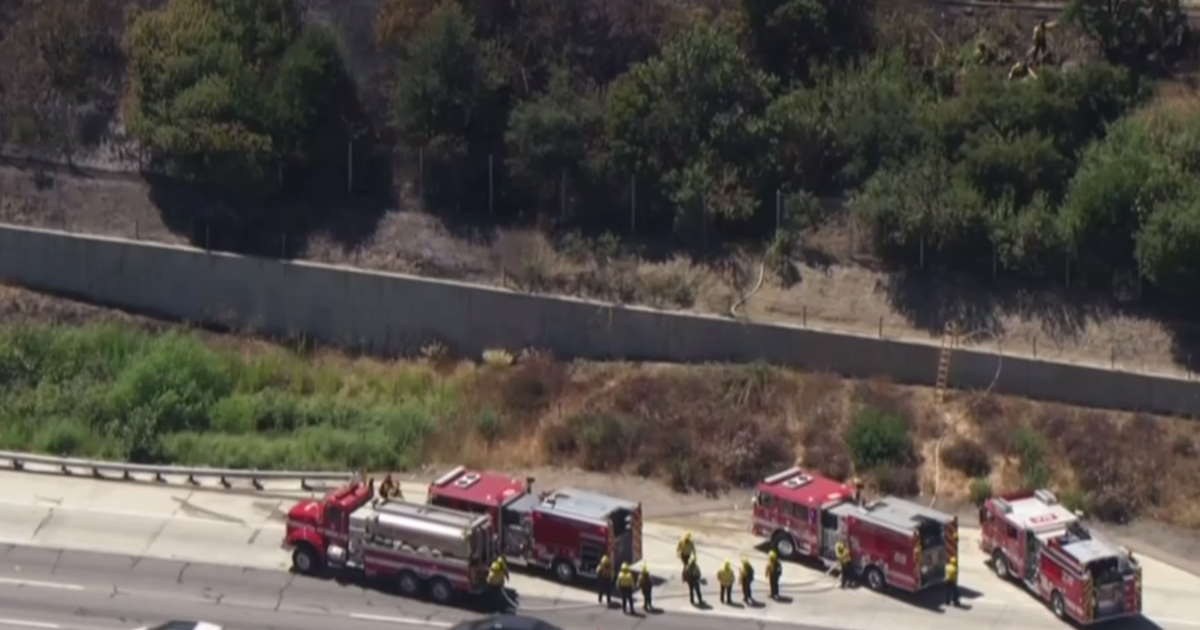 Firefighters put out brush fire just off 405 Freeway in Bel-Air