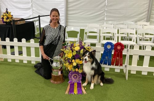 Climate protesters disrupt Westminster dog show agility course. ‘No dogs on a dead planet.’