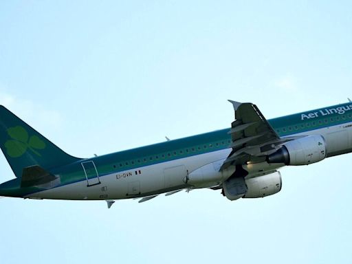 Ialpa Aer Lingus pilots suspend action pending vote on Labour Court recommendation