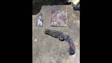 18th Century pistol found by class searching 1740s Charleston home, SC officials say