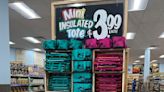 Trader Joe's new mini insulated cooler bags already going viral