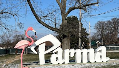 Pink with shame: Vandals charged with damaging Parma’s flamingo, police say