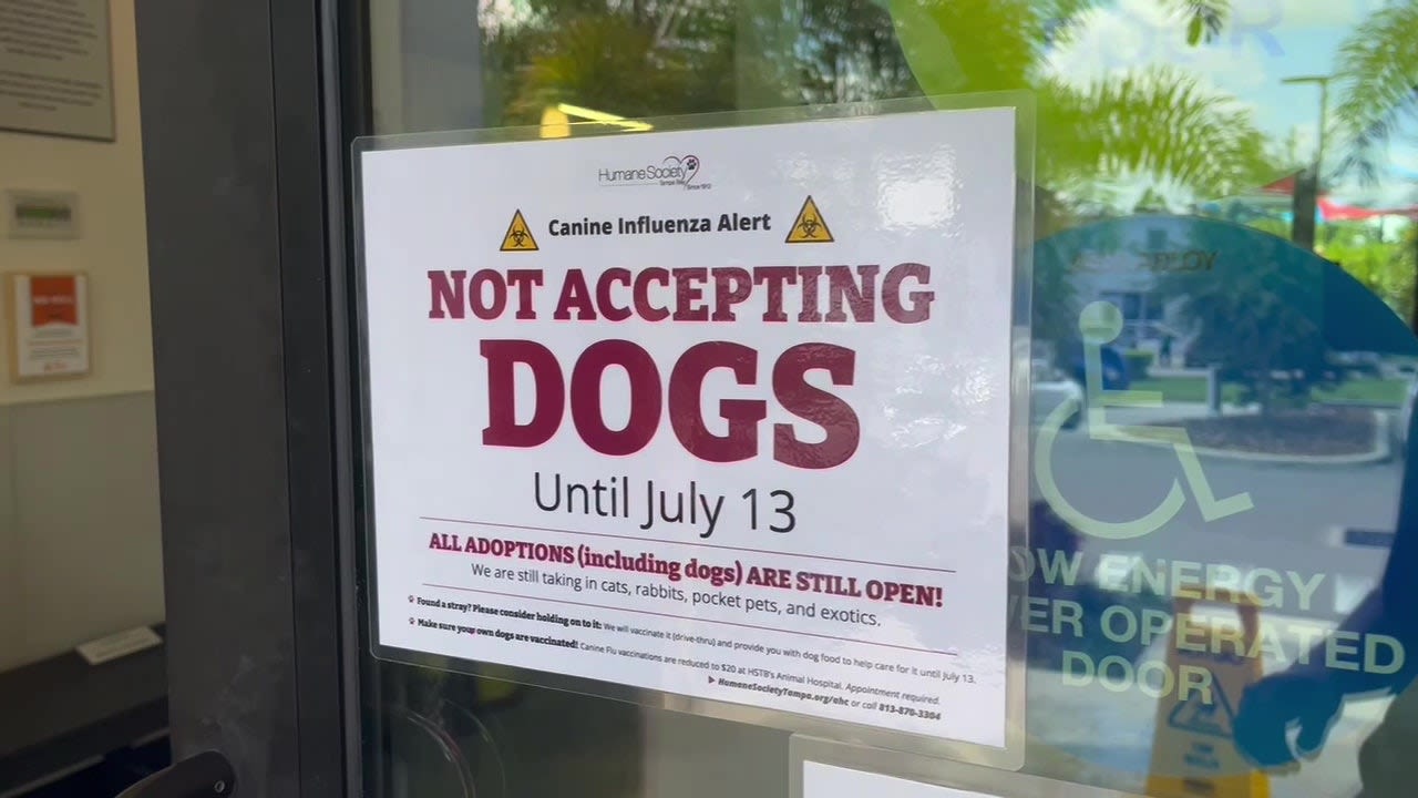 Some dogs return to Hillsborough County animal shelter after dog flu outbreak