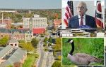 Springfield, Ohio, man reported Haitian migrants snatching geese out of park just 2 weeks ago