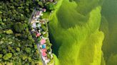 La historia detrás de la imagen del lago verde que ganó el "Oscar de fotografía de vida silvestre"