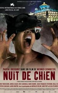 Nuit de chien