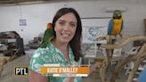 PTL catches up with our friends at Heart & Soul Parrot Rescue