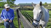 Former Derby winner lives life of leisure on retirement farm