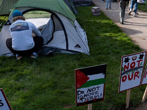 Arrestan a estudiantes de la Universidad del Sur de Florida durante protesta pro-palestina - El Diario NY