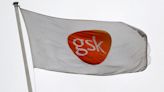 GSK, Novartis pledge funds for diseases that mostly affect the poor