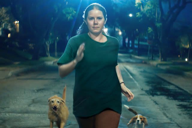 Amy Adams Plays a Stay-at-Home Mom Who Thinks She's Turning Into a Dog in “Nightbitch” Trailer