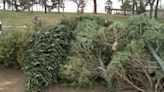 St. Louis area Christmas tree recycling locations