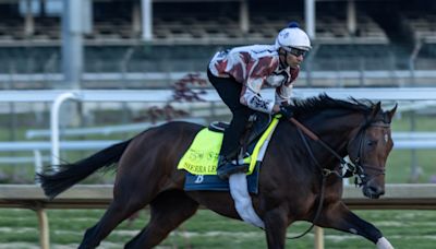 Which Kentucky Derby 2024 horses are the best mudders? What to know if it rains