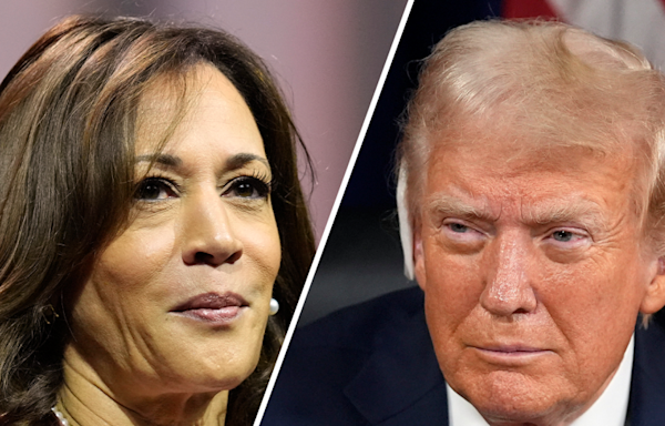 Trump edges out Harris in key swing states, ties with her in Wisconsin: Poll