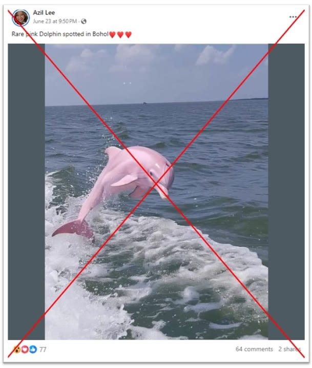 Facebook users fall for AI-generated image of 'pink dolphin'