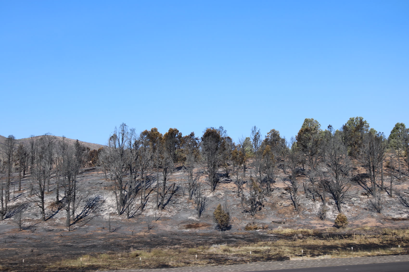 Spring Valley residents allowed back in their homes after fire