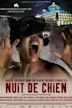 Nuit de chien