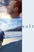 Saltwater (2012 film)