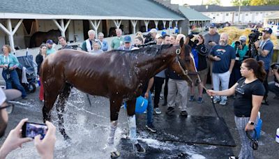 Kentucky Derby winner Mystik Dan continuing on to the Preakness far from a sure thing