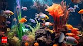 Benefits of keeping Fish tank at home: A guide to positive energy and prosperity | - Times of India