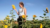 Levelland flower farm brings color to the South Plains