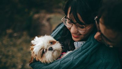 Tips to soothe dog anxiety according to the American Kennel Club